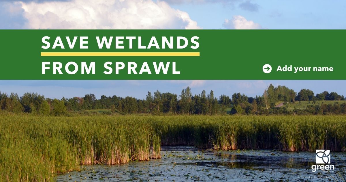 Save wetlands from sprawl
