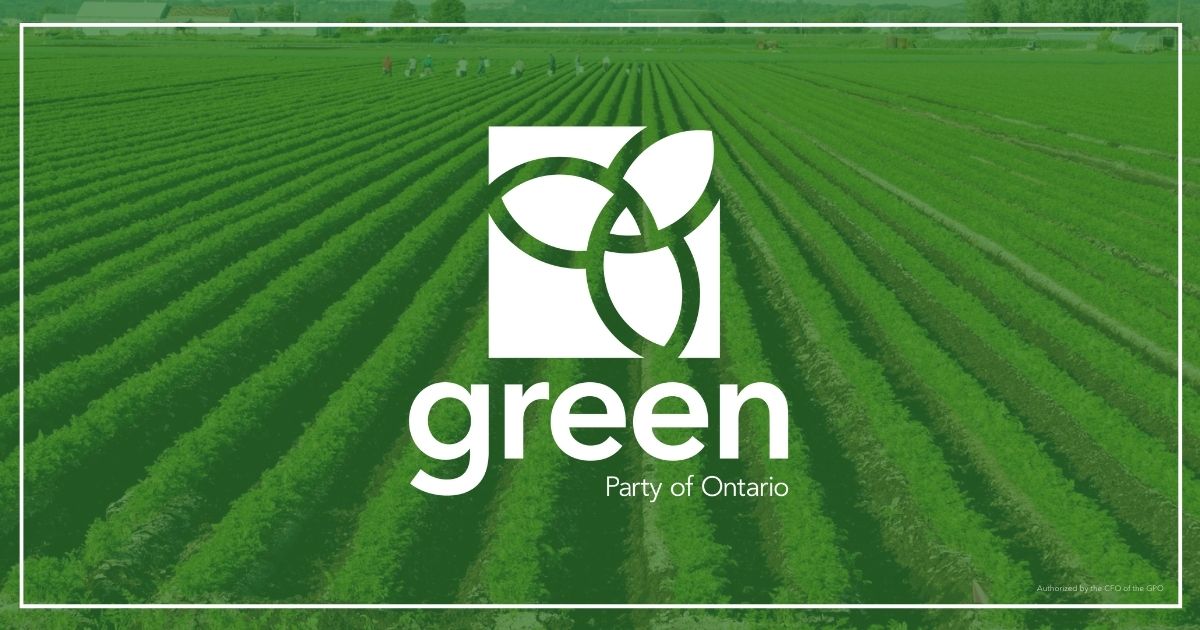 Mike Schreiner released the following statement regarding the Holland Marsh Highway: