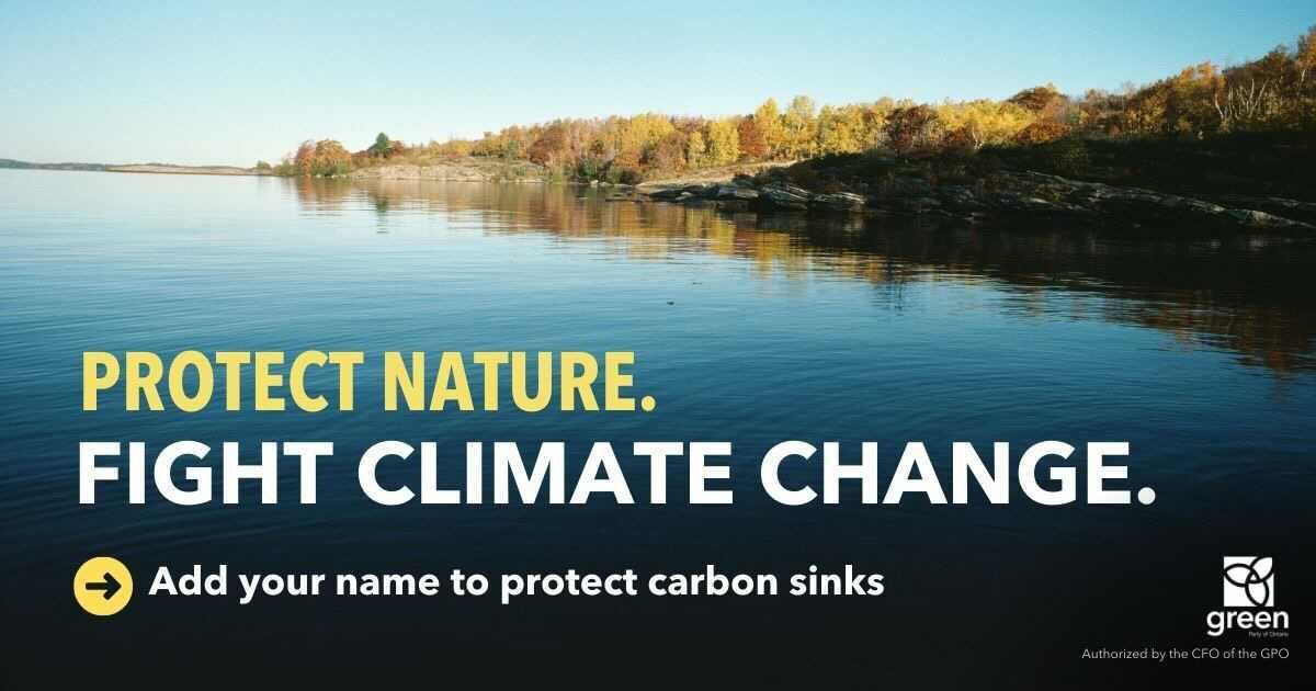 Protect Ontario’s Carbon Sinks