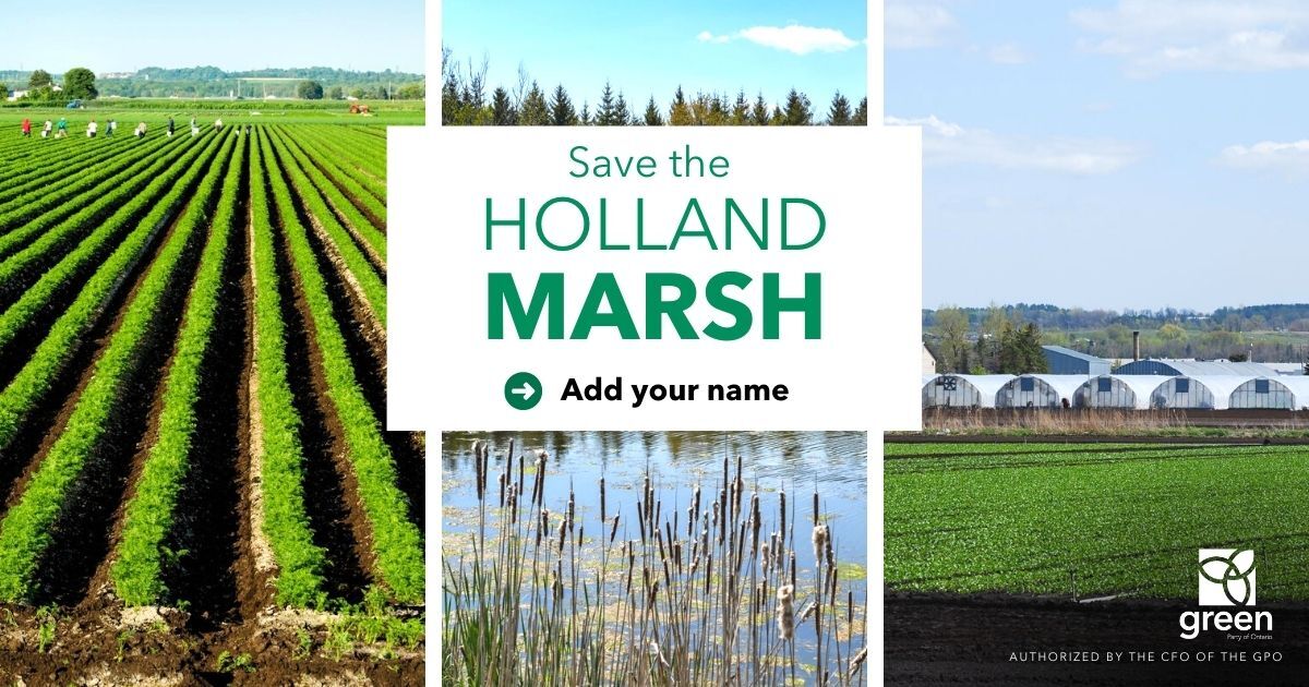 Holland Marsh Highway