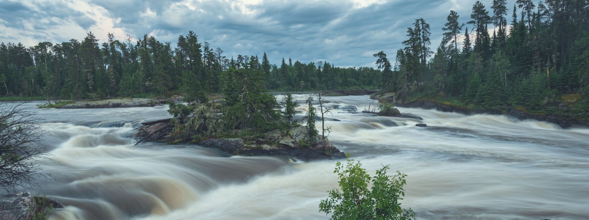 Justice For Grassy Narrows