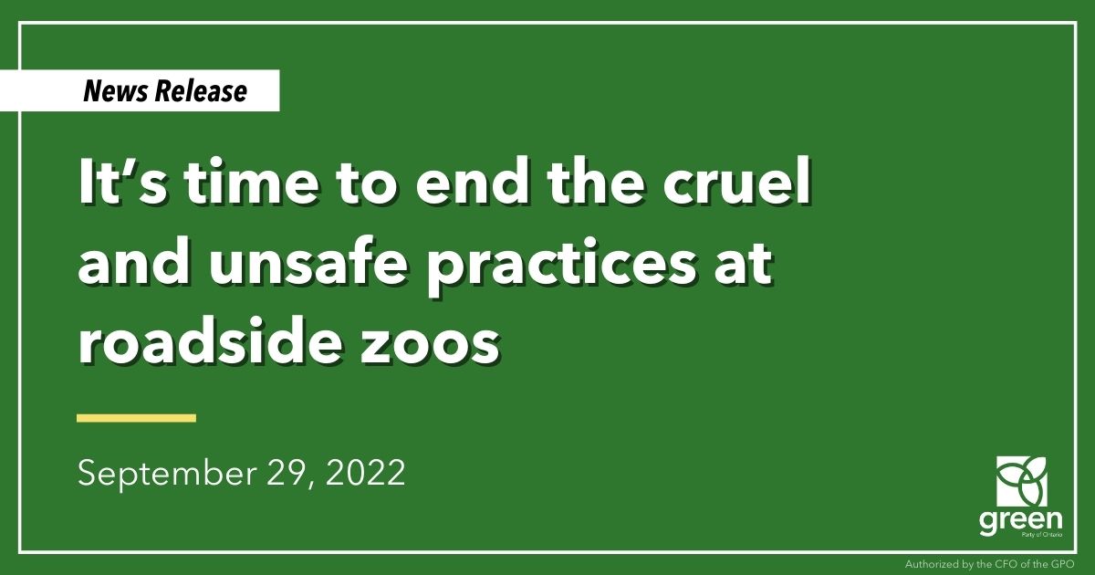 Ontario Greens leader and MPP for Guelph, Mike Schreiner, released the following statement in response to World Animal Protection's investigative report Nothing New at the Zoo.
