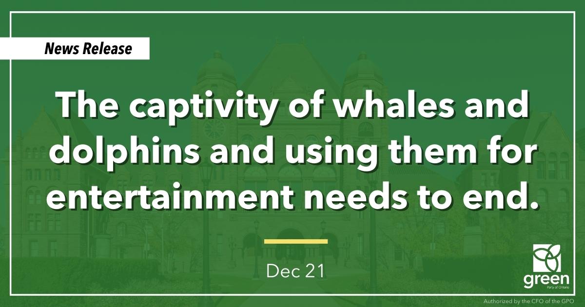 The captivity of whales and dolphins and using them for entertainment needs to end.