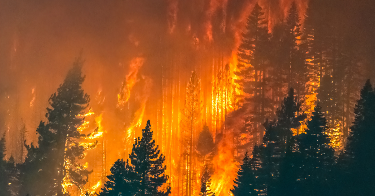 Fight Back Against Ford’s Climate Failure