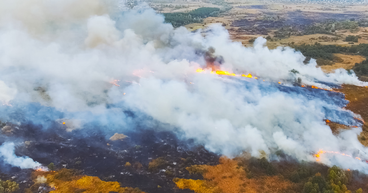 Fight Back Against Ford’s Climate Neglect