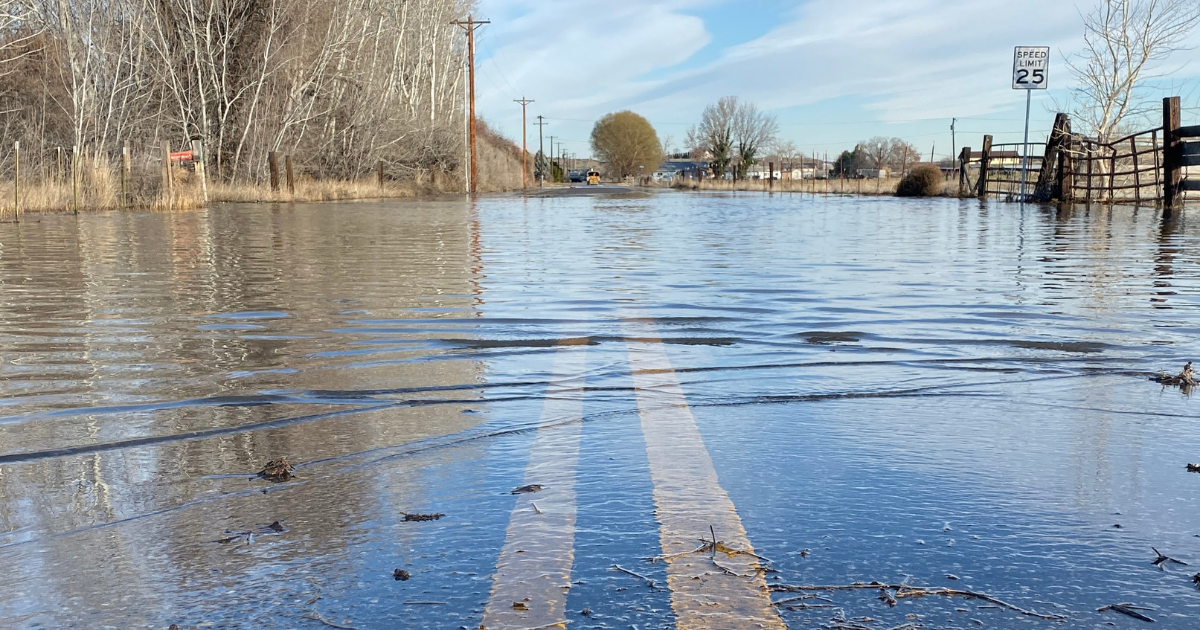 Fight Back Against Ford’s Climate Neglect