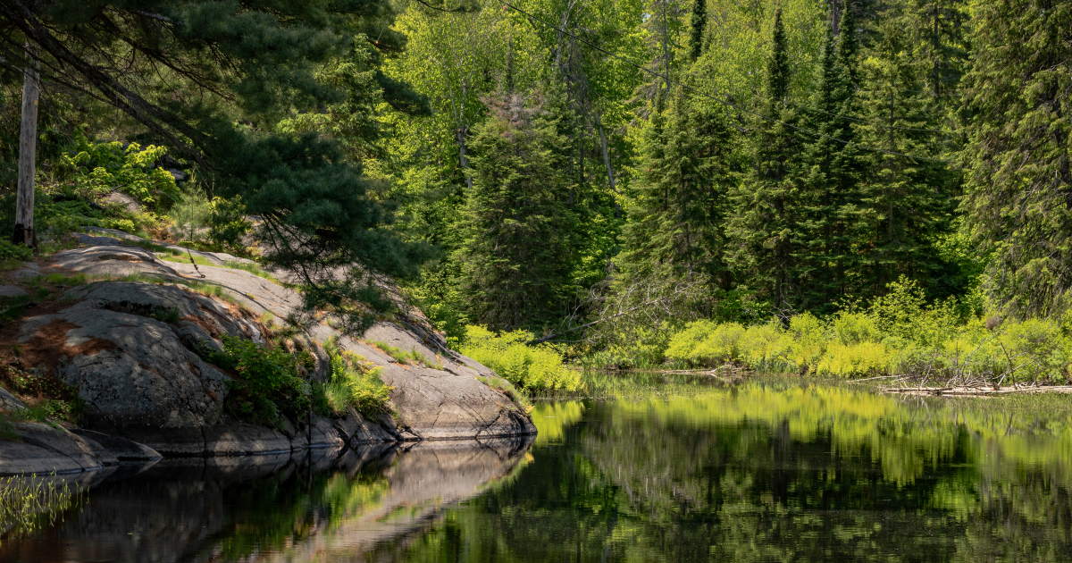 Protect our parks!