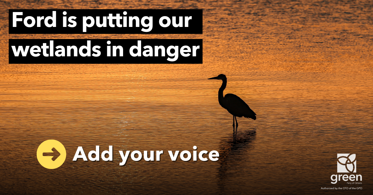 Protect Ontario’s wetlands!
