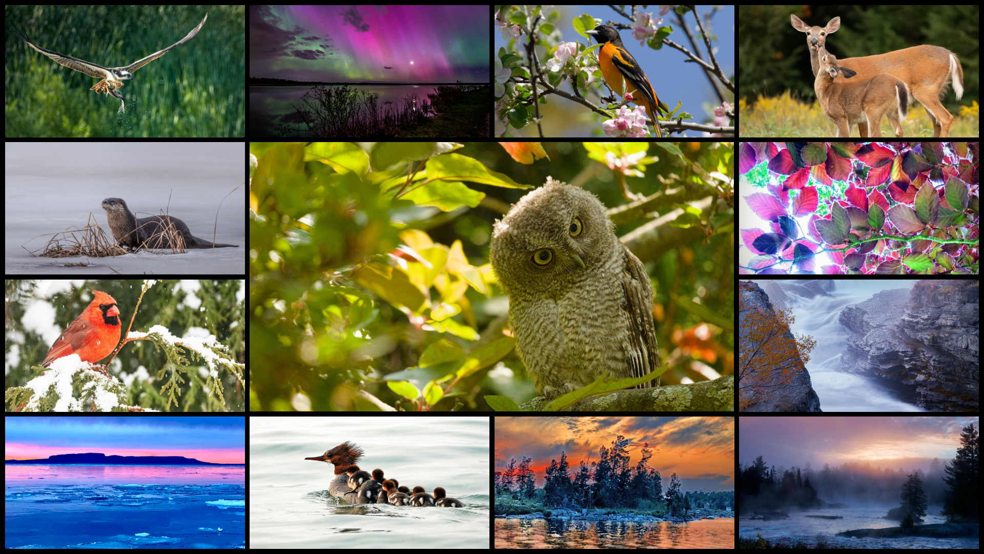 2025 Calendar Contest Photos