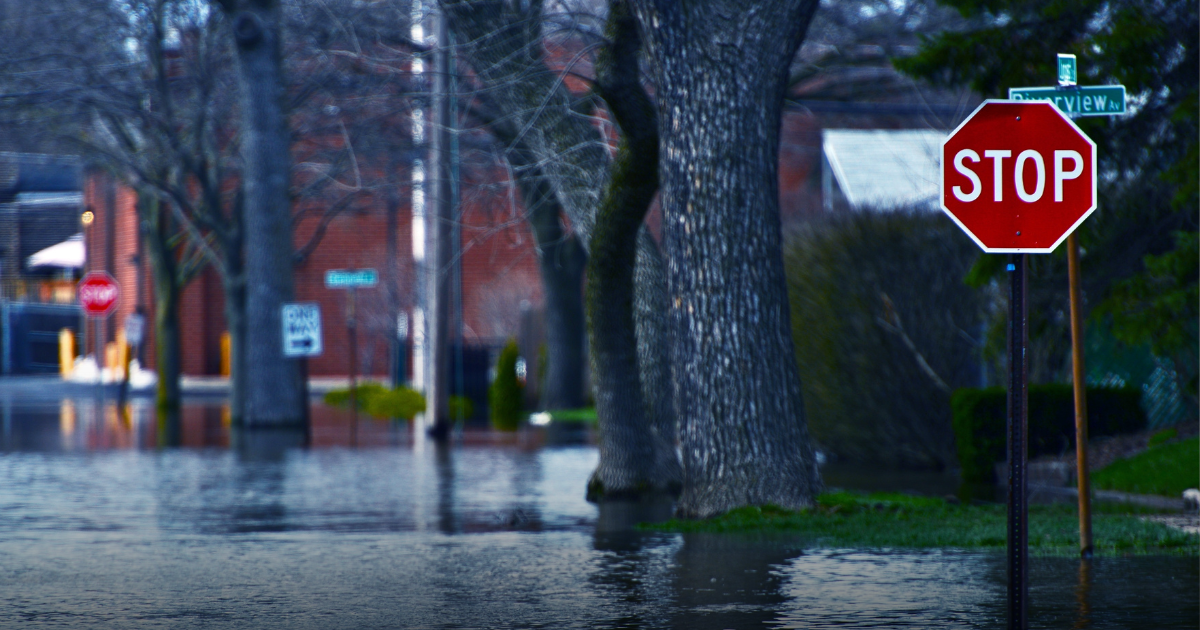 Stop Ford's Attacks on Flood Protection