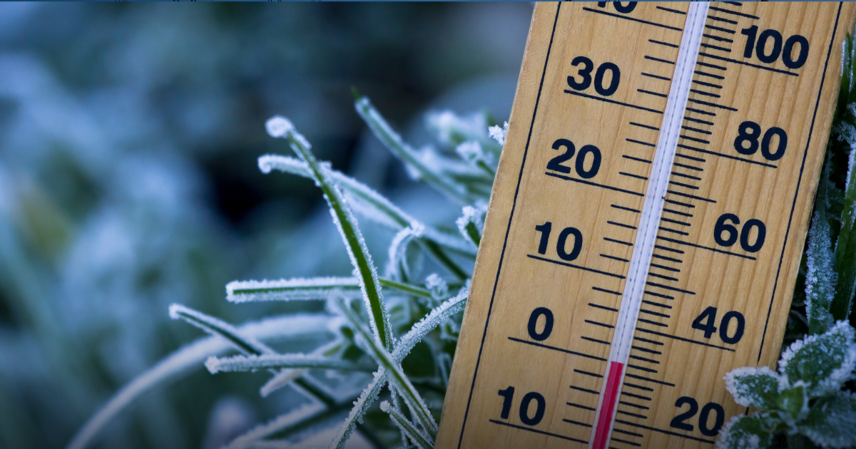 Act on poverty now: Raise social assistance rates before winter hits
