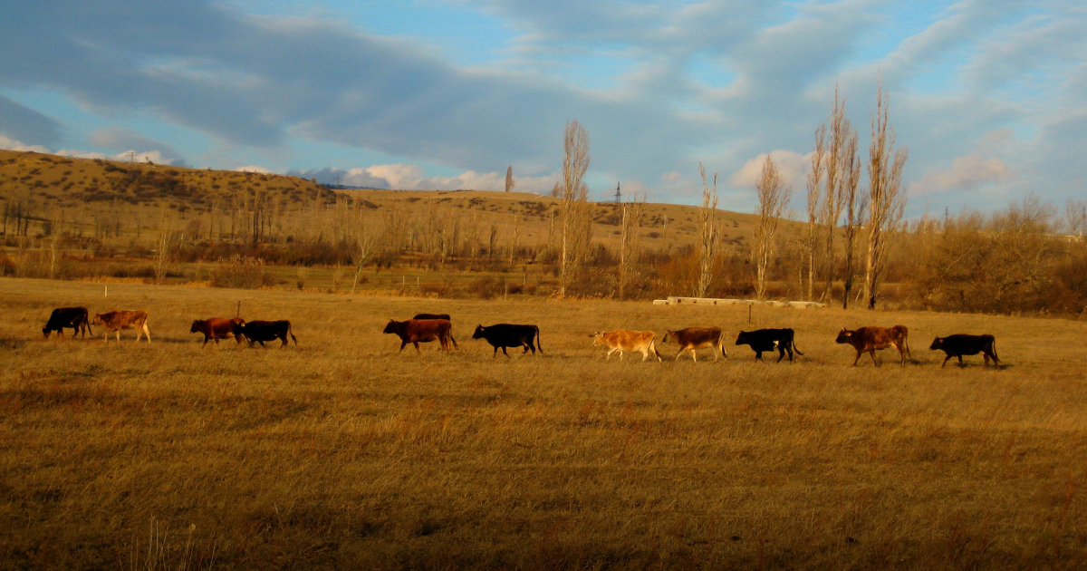 Rural Ontario deserves more