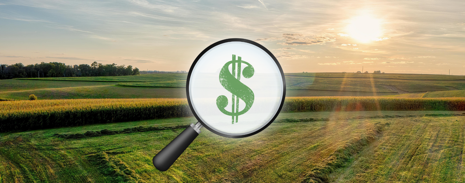 Show Us the Bill: Investigate the True Cost of Highway 413