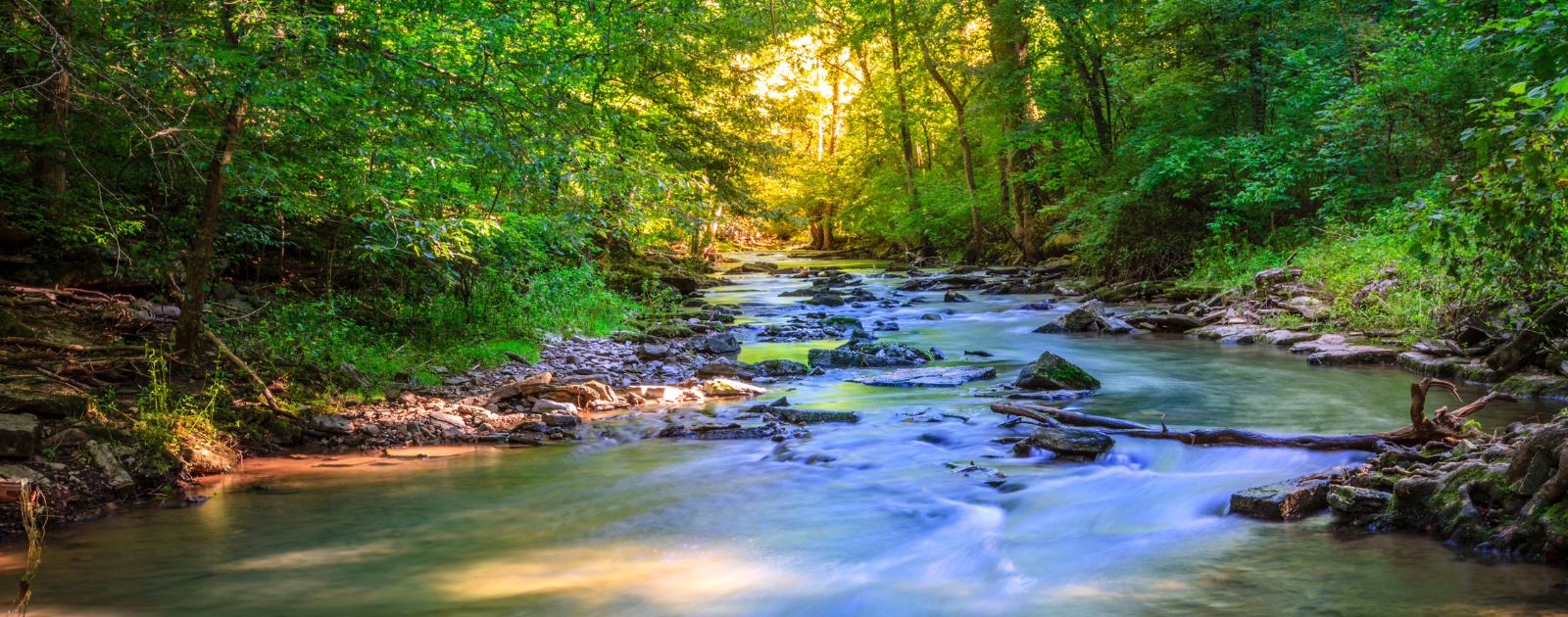 Protect the Waterloo Moraine: Our Water Is Not for Sale