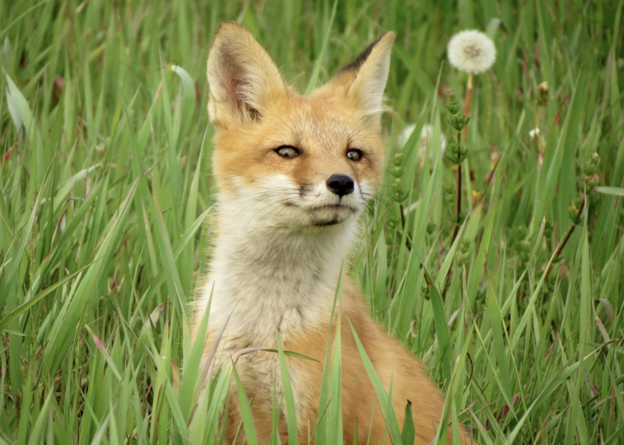 What's mom Doing? by Abe TeGrotenhuis