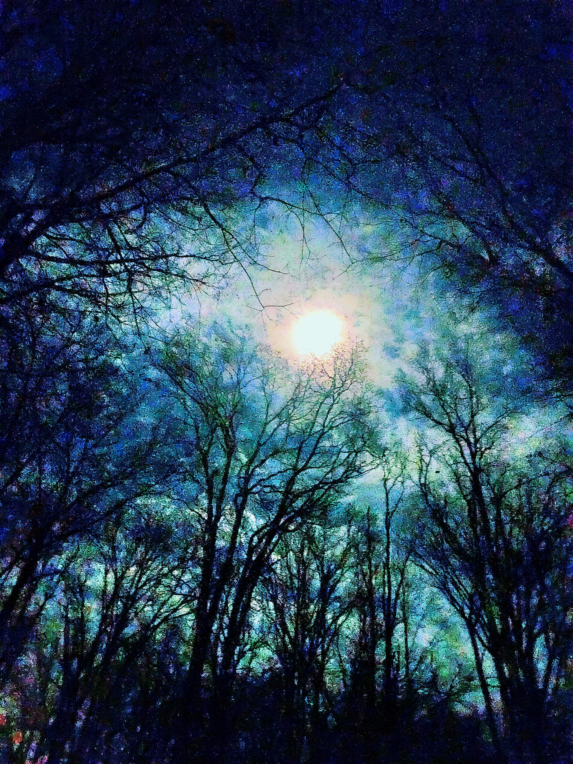 Evening Sky by Samuel Willie