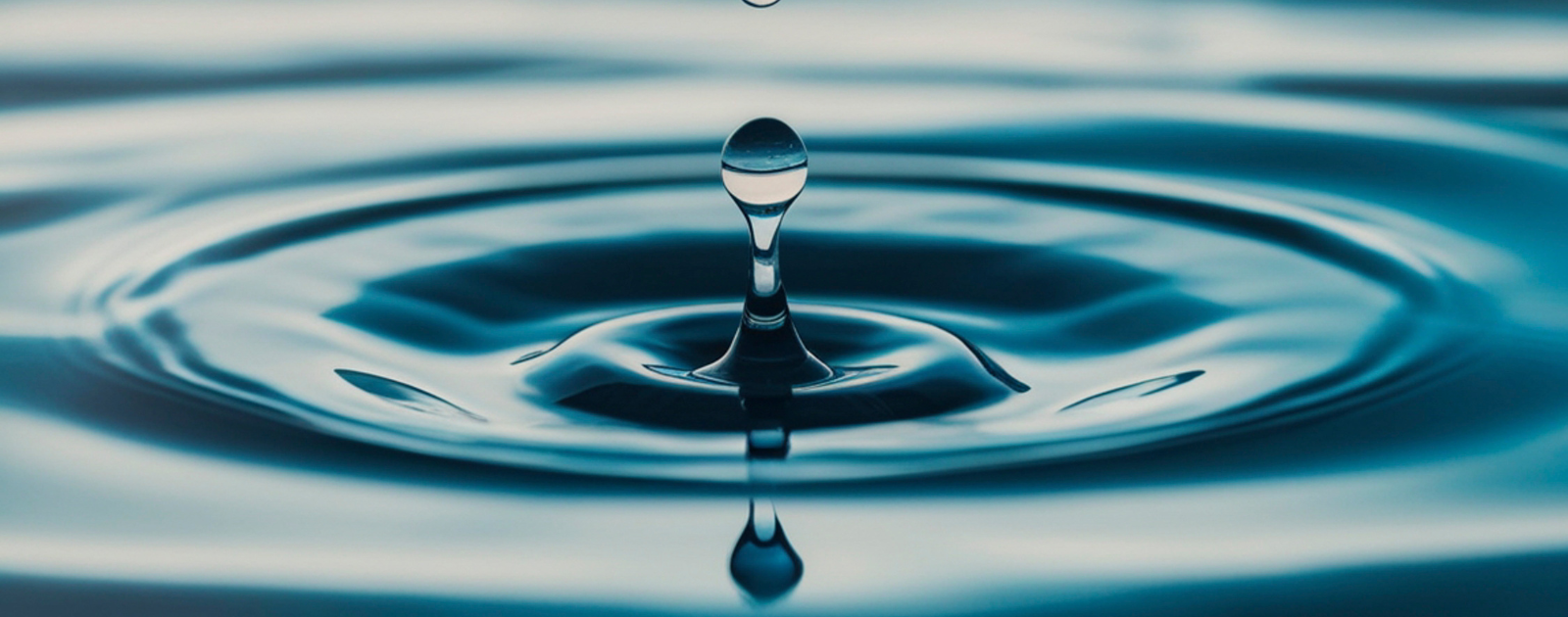Ontario’s Water Is Not For Sale