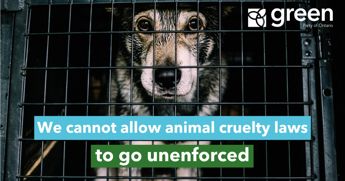 Government Must End Silence On Animal Cruelty Laws | Green Party Of Ontario