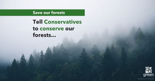 Save Ontario's forests: Tell Conservatives to conserve our forests...