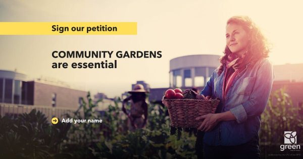 Community gardens are essential