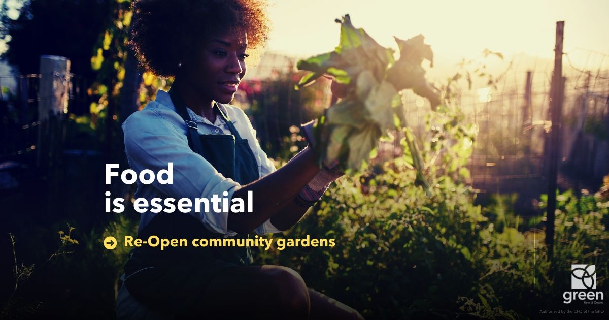 Food is essential. Sign our petition to Re-Open community gardens