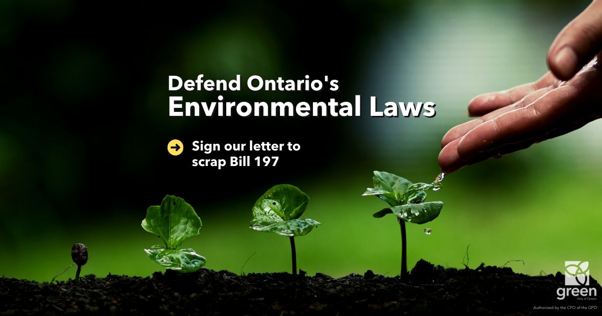 Defend Ontario's Environmental Laws. Sign our letter to scrap Bill 197