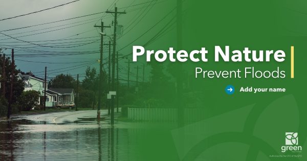 Protect Nature. Prevent Floods