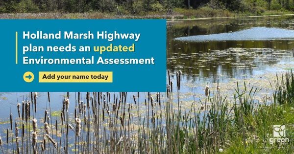 Holland Marsh Highway needs an updated Environmental Assessment