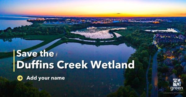 Save the Duffins Creek Wetland