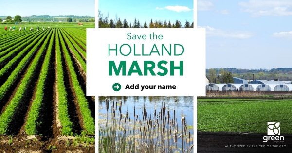Protecting the environment is NOT red tape. We must make smart growth decisions by protecting the places we love. Tell Doug Ford to stop pumping money into highways and start investing in people and the planet.