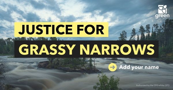 Justice For Grassy Narrows Action Campaign