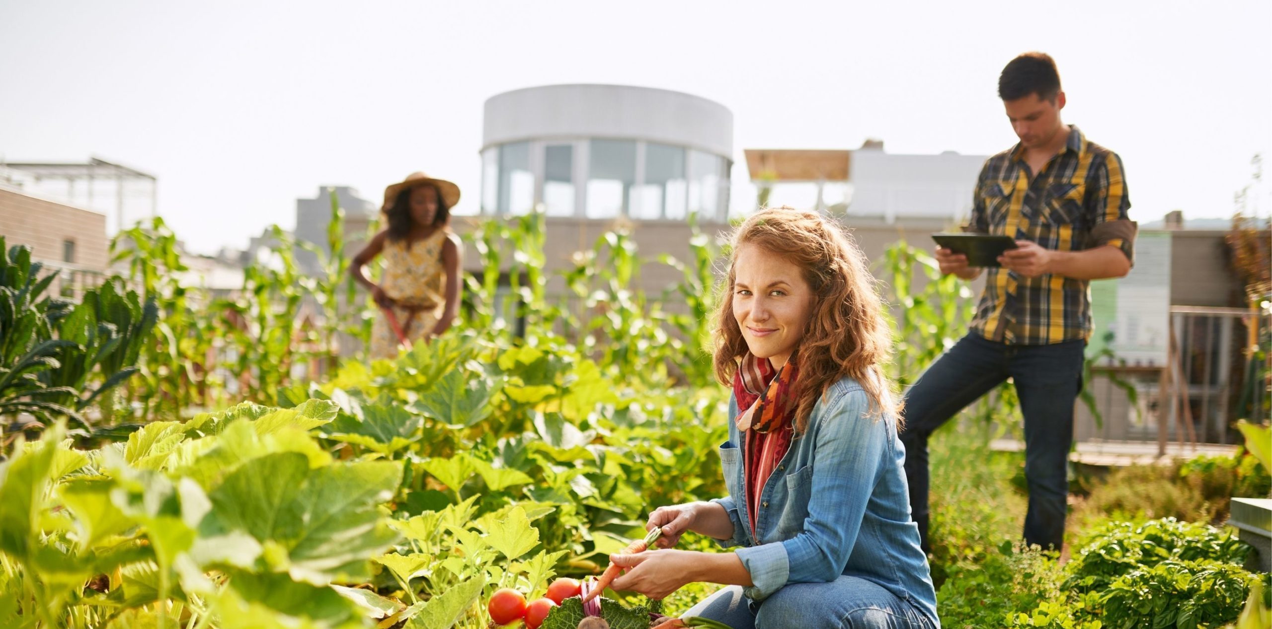 Diverse group of people working in community garden